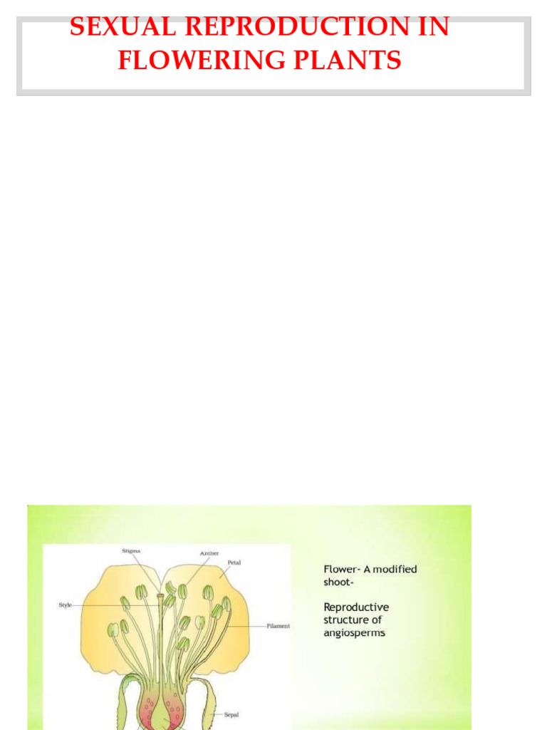 1.sexual Reproduction in Flowering Plants-Teaching Material | PDF ...