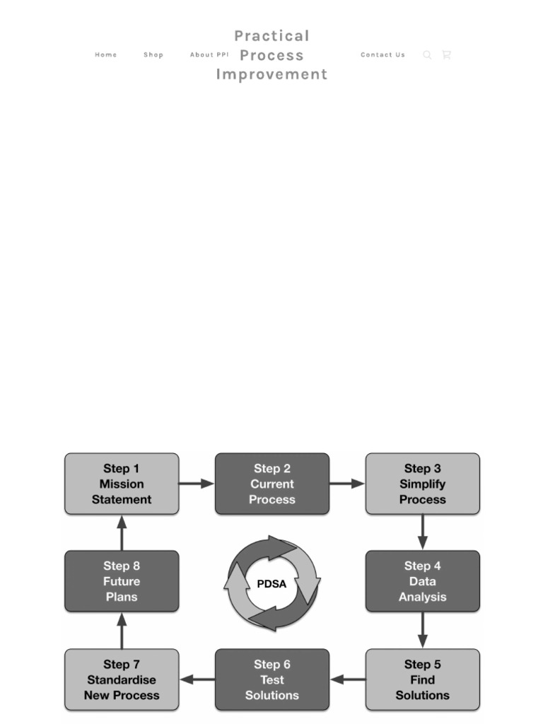 PPI Schema | PDF