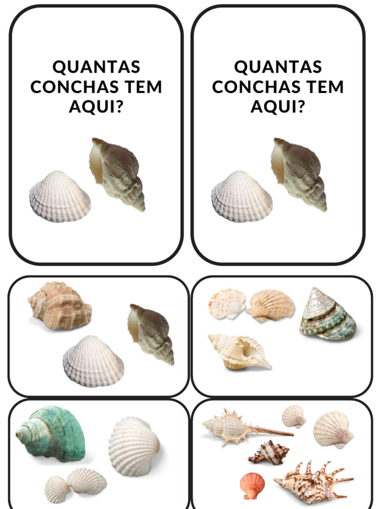 Quantas Conchas | PDF