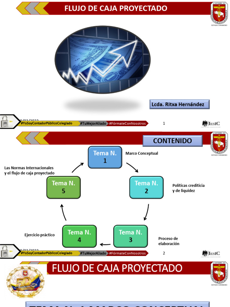 Flujo de Caja Proyectado y Presupuestos | PDF | Presupuesto | Contador