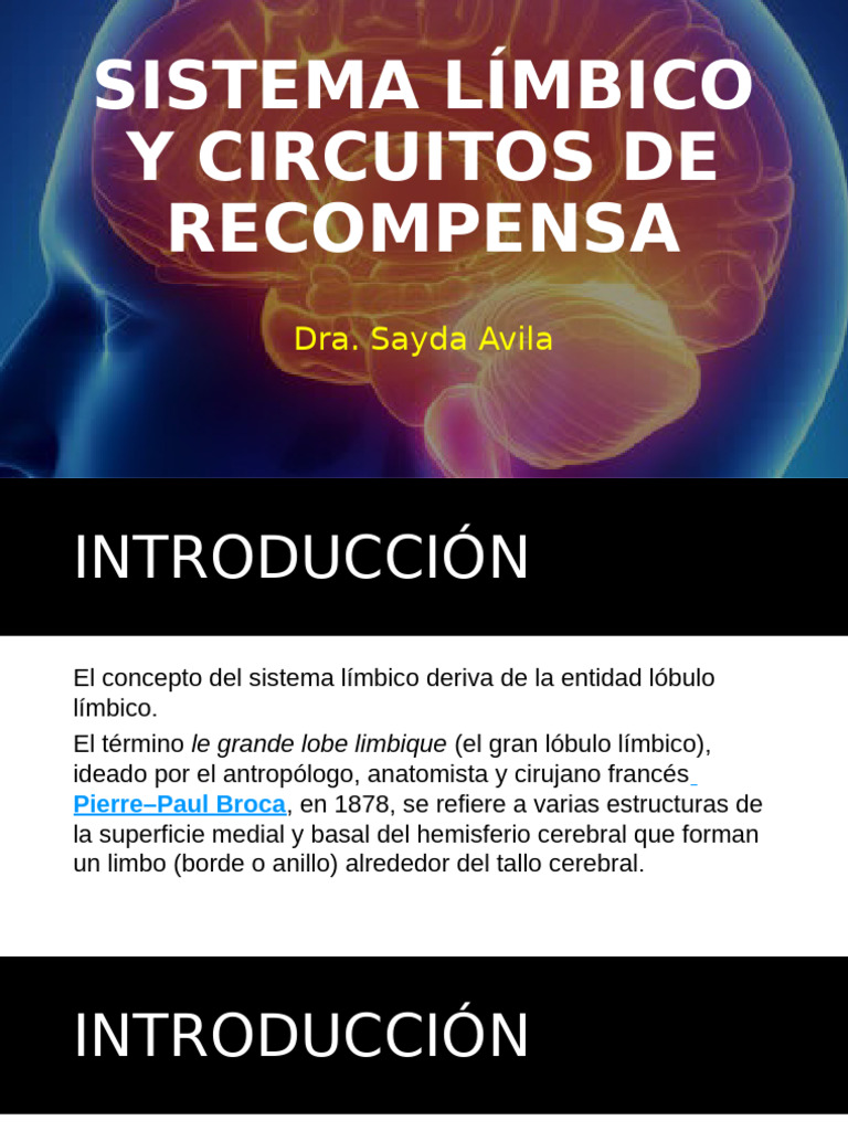 Funciones del Sistema Límbico en Emociones | PDF | Sistema límbico ...