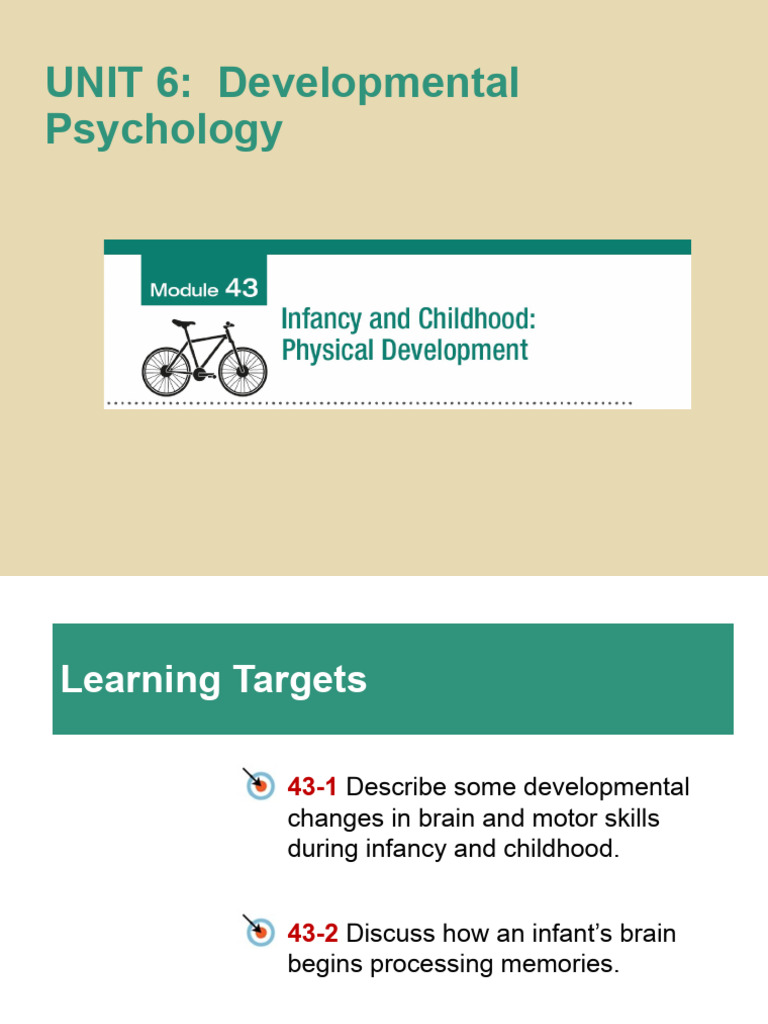 Brain Development in Infancy & Childhood | PDF | Memory | Brain