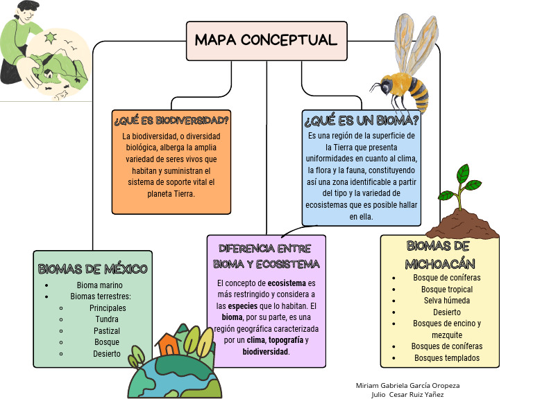 Conceptos de Biodiversidad y Biomas | PDF | Ecosistema | Ciencias de la ...
