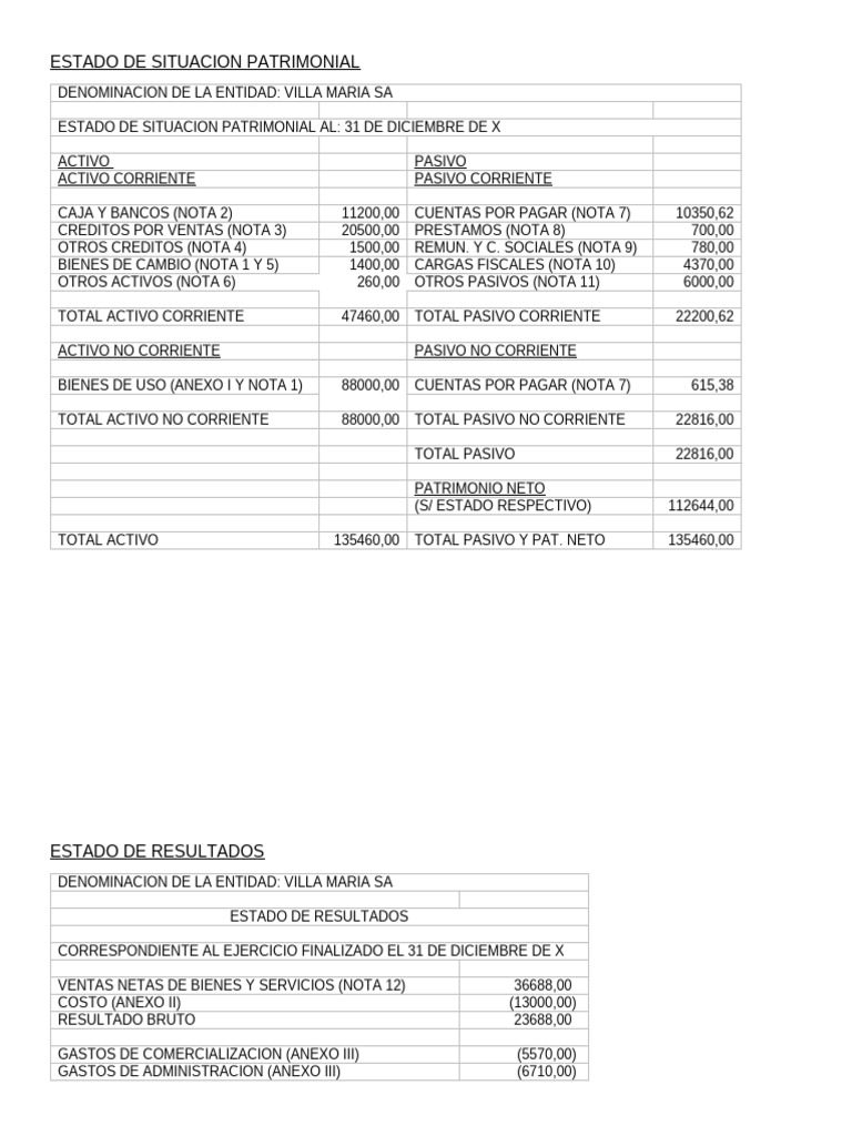 Ejemplo Estado de Situacion Patrimonial | PDF | Estado de resultados ...