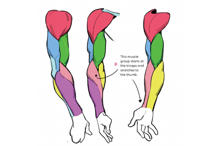 Arm | PDF