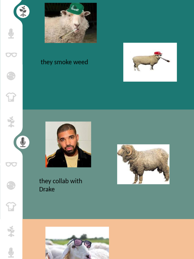 Sheep v23248 | PDF