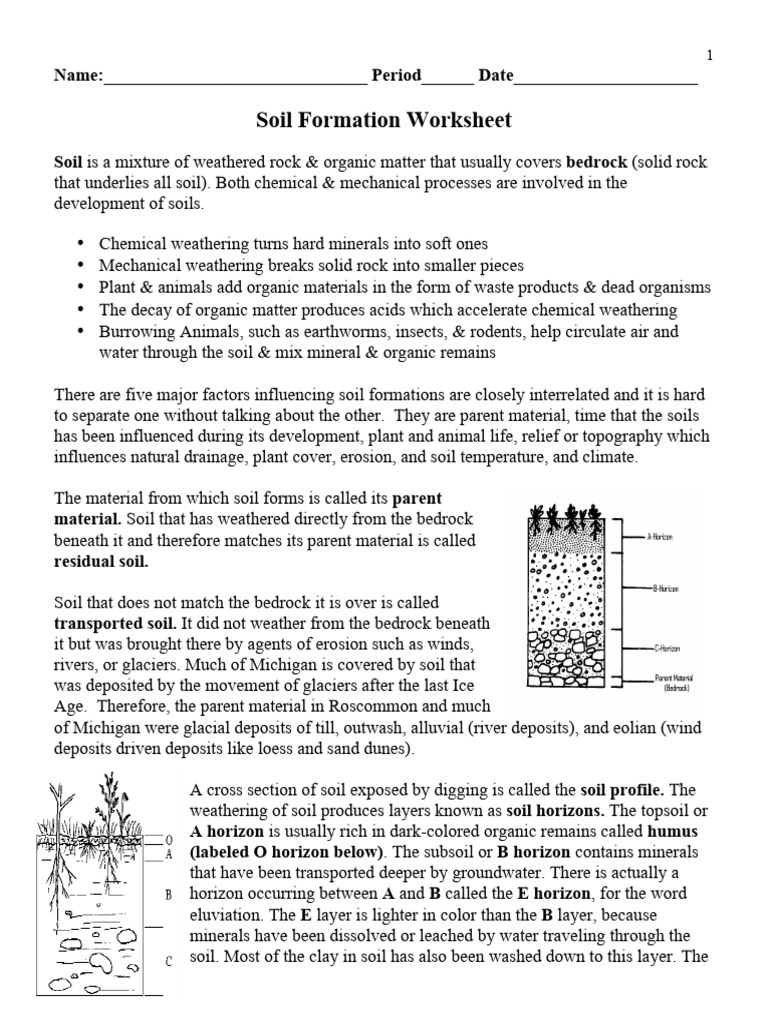 Soil Profile Analysis and Labeling | PDF | Soil | Topsoil