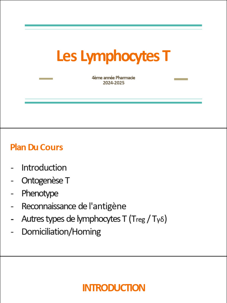 Lymphocytes T Cytotoxiques et Immunité | PDF | Lymphocyte T ...