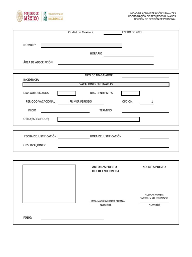 Formato IMSS Bienestar 2025 | PDF