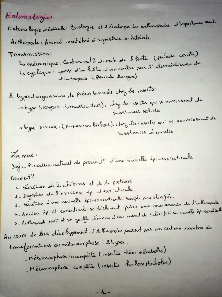 Classification et Morphologie des Arthropodes | PDF