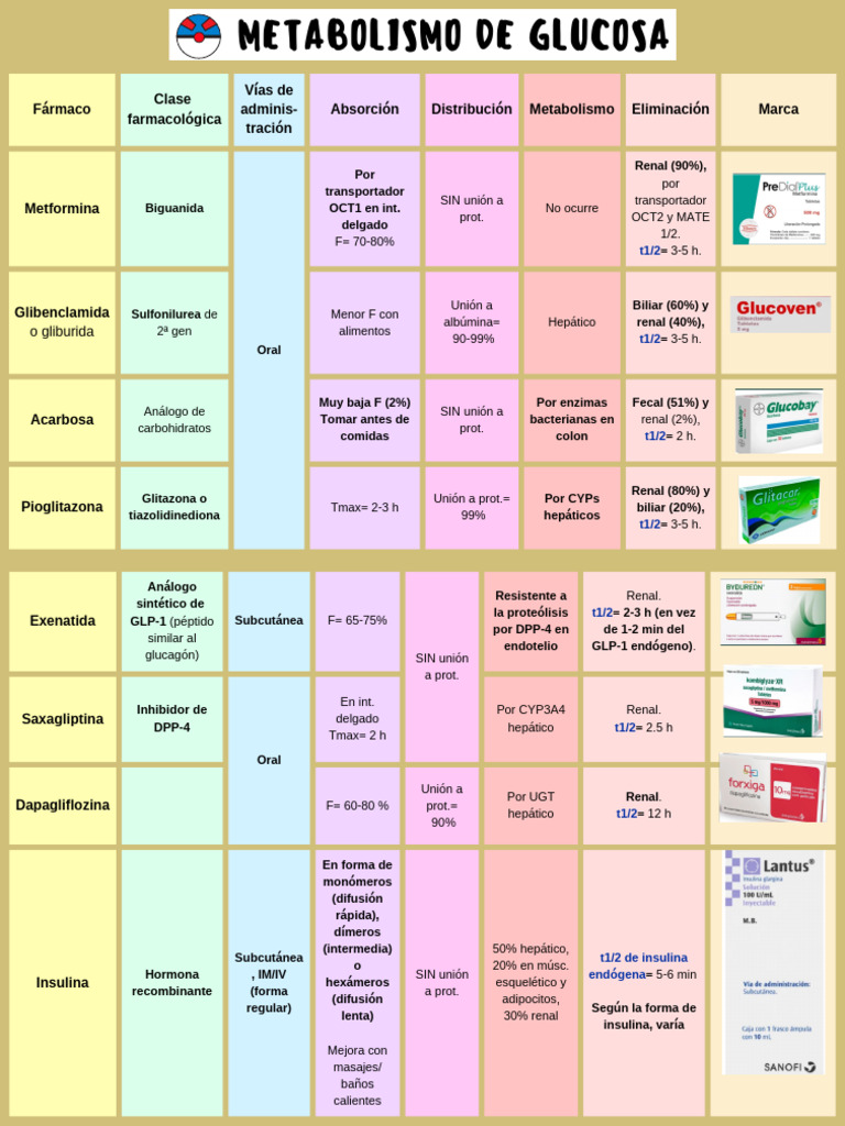 medicamentos-para-diabetes-mecanismos-y-efectos-pdf-hipoglucemia