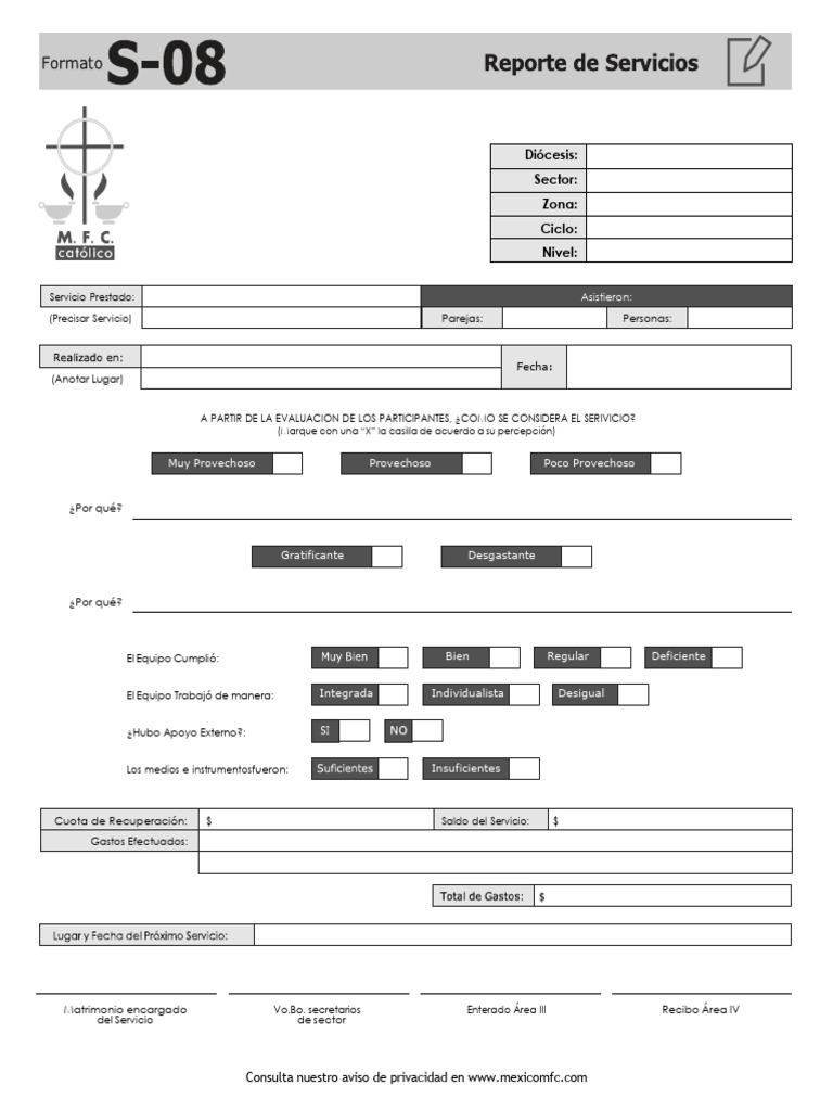 Formato S-08 | PDF