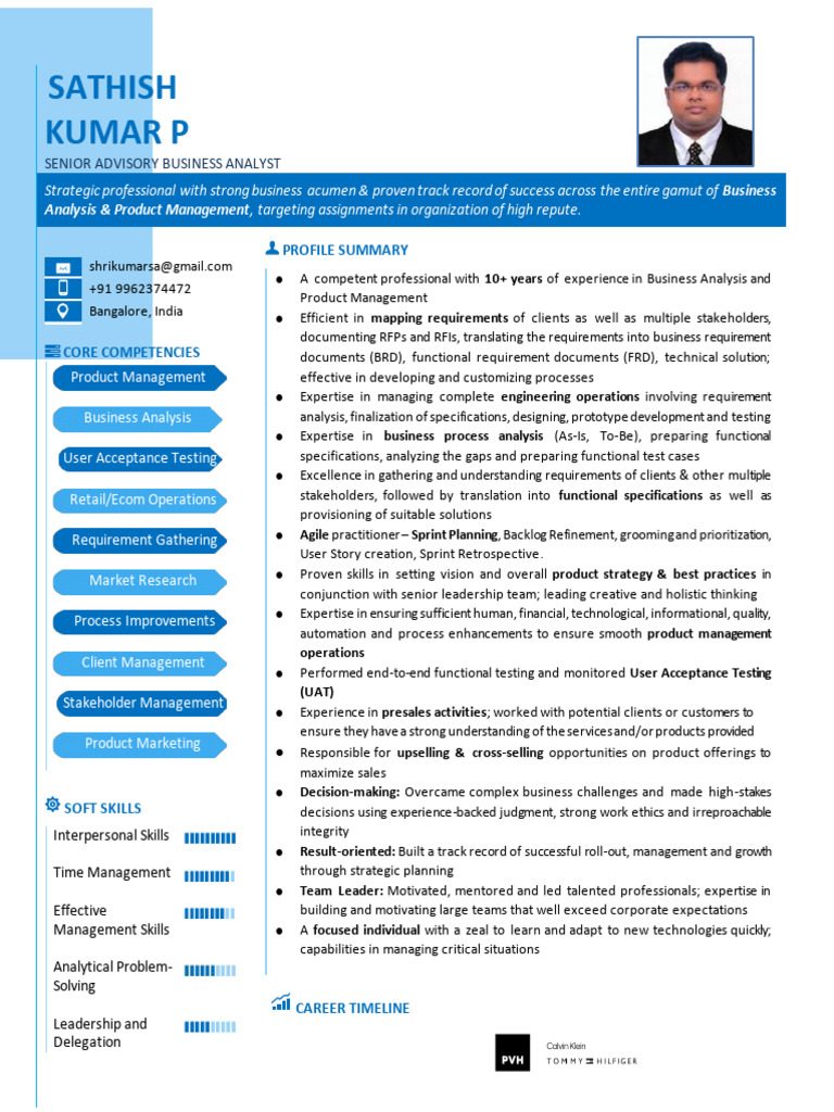 Senior Business Analyst Profile Summary | PDF | Business Analysis ...