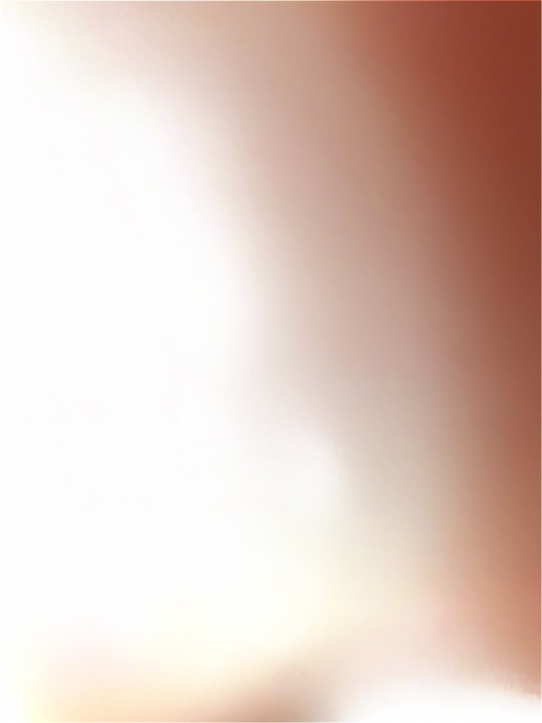 21 | PDF