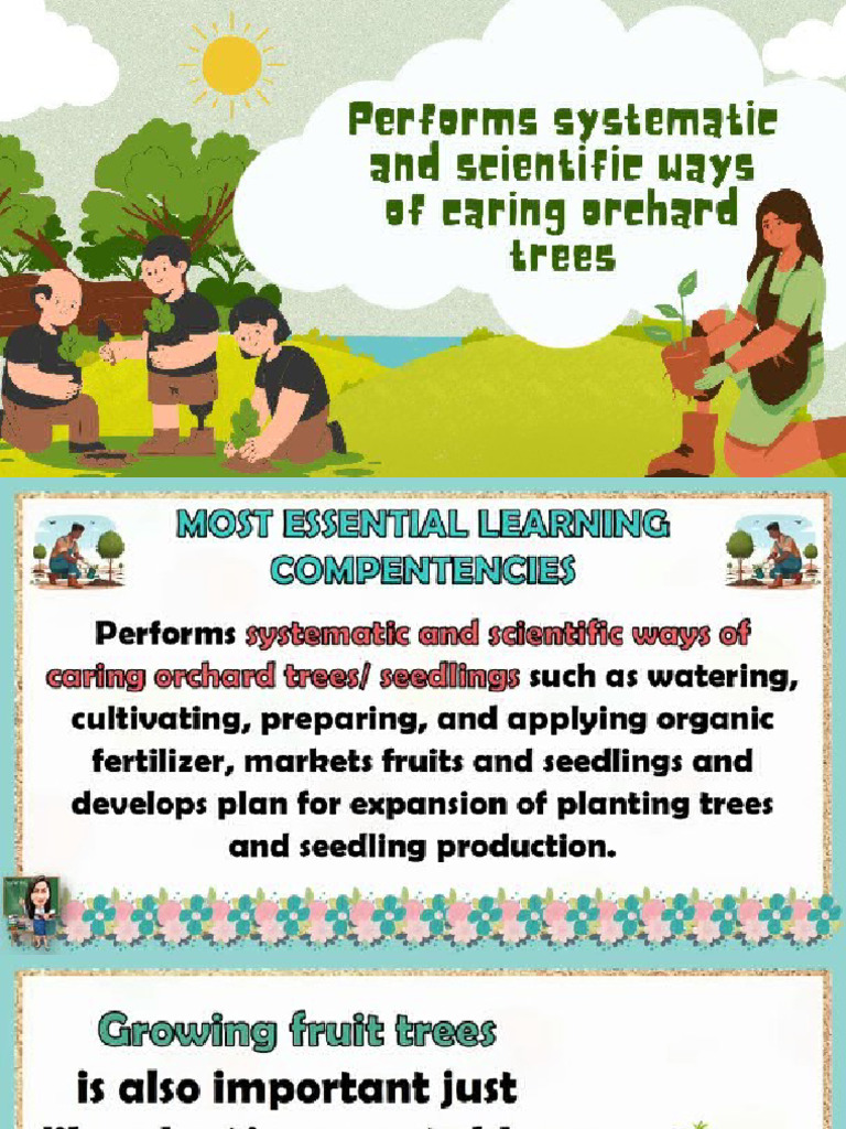 Otchard Trees Grade 6 | PDF