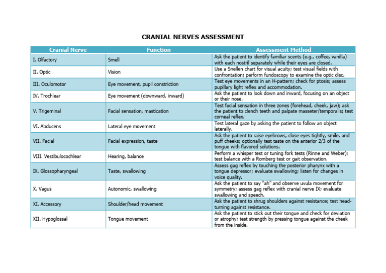 Cranial Nerves Assessment | PDF | Human Anatomy | Nervous System
