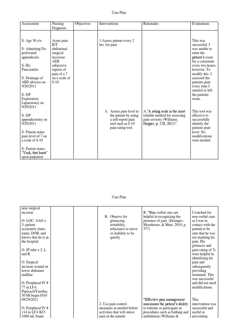 Pain Care Plan PDF Pain Pain Management