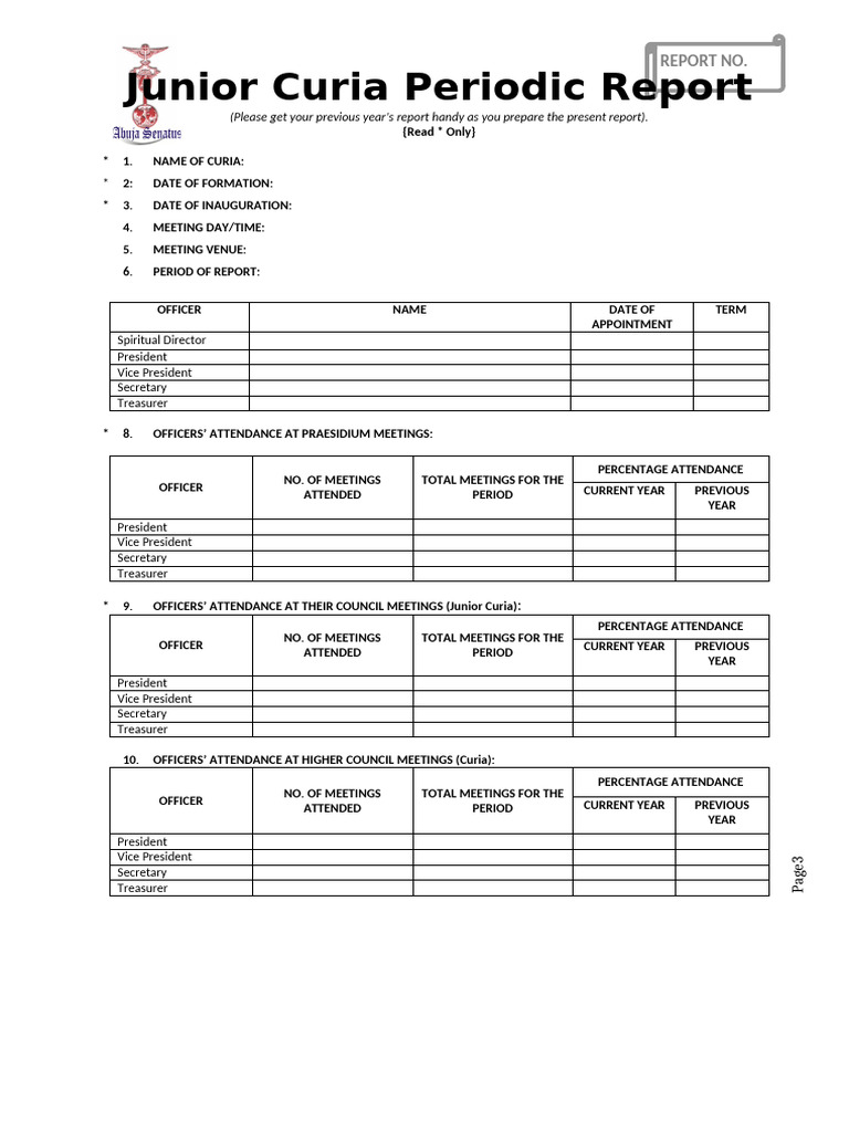 Junior Curia Periodic Report Template | PDF | Catholic Church | Baptism