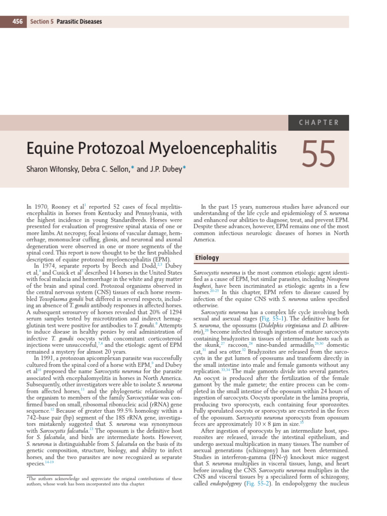 Understanding Equine Protozoal Myeloencephalitis | PDF | Biology