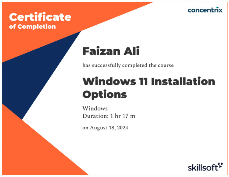 Windows 11 Installation Options | PDF
