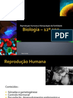 Biologia – 12º Ano (Reprodução Humana e Manipulação Da Fertilidade