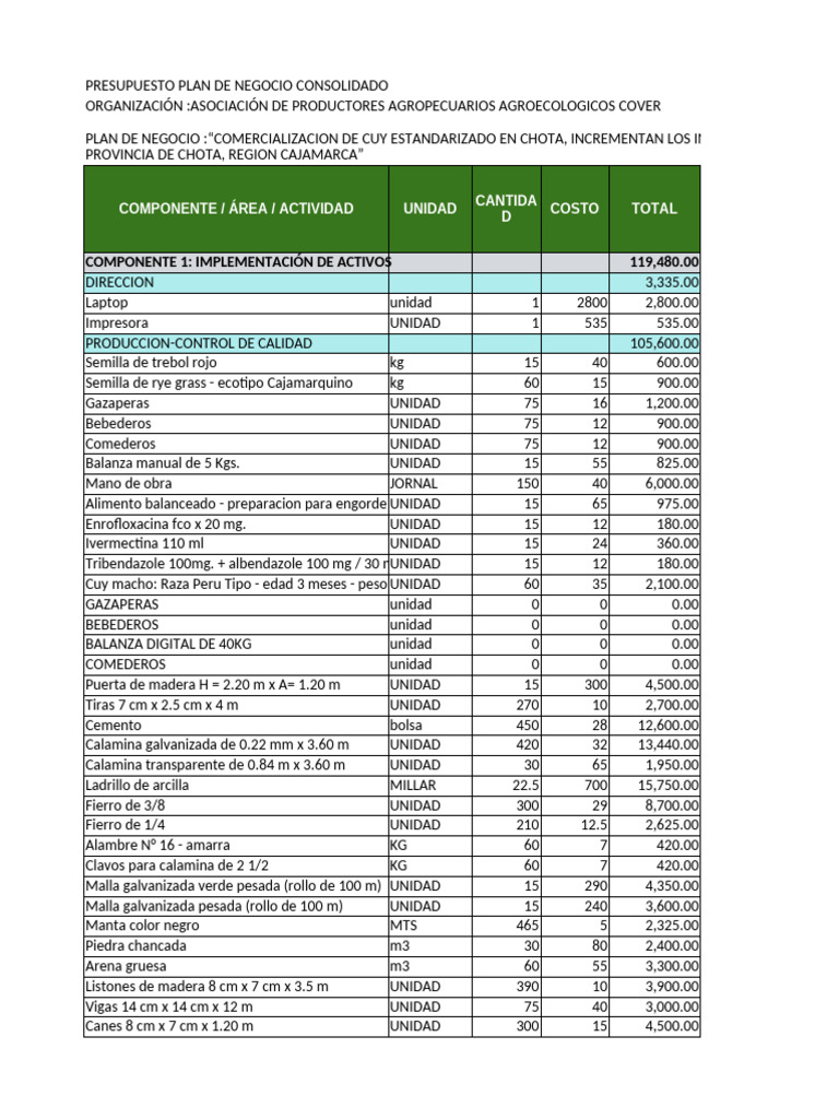 Presupuesto Plan de Negocio Cuy 3 | PDF