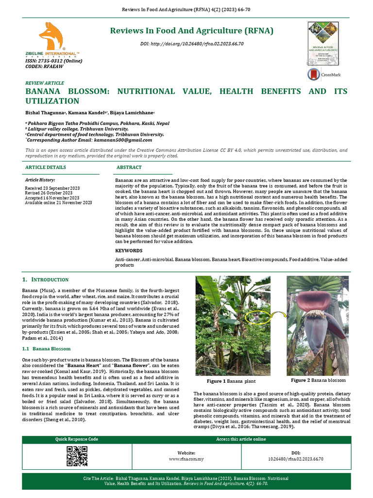 Nutritional and Health Benefits of Banana Blossom | PDF | Dietary Fiber ...