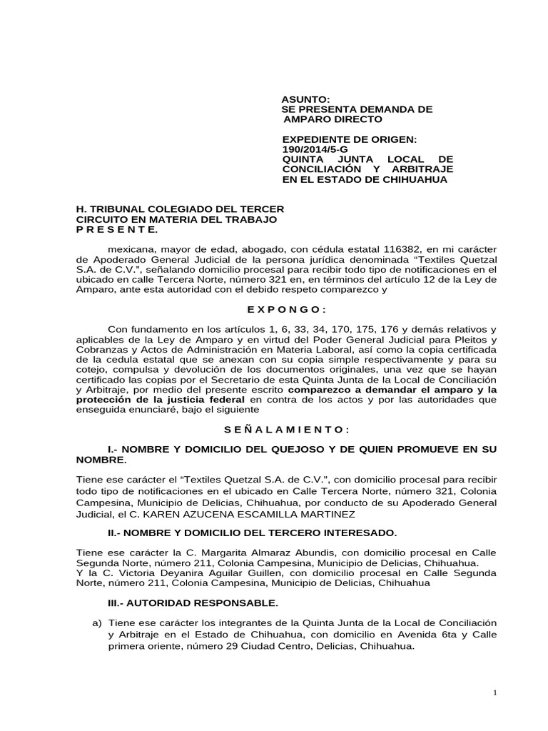 Demanda de Amparo Directo Laboral | PDF | Ley procesal | Sentencia (ley)