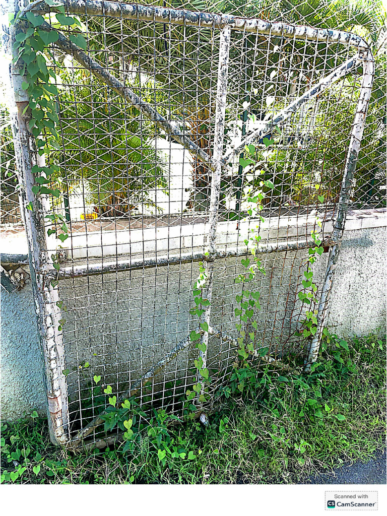 External Gate | PDF