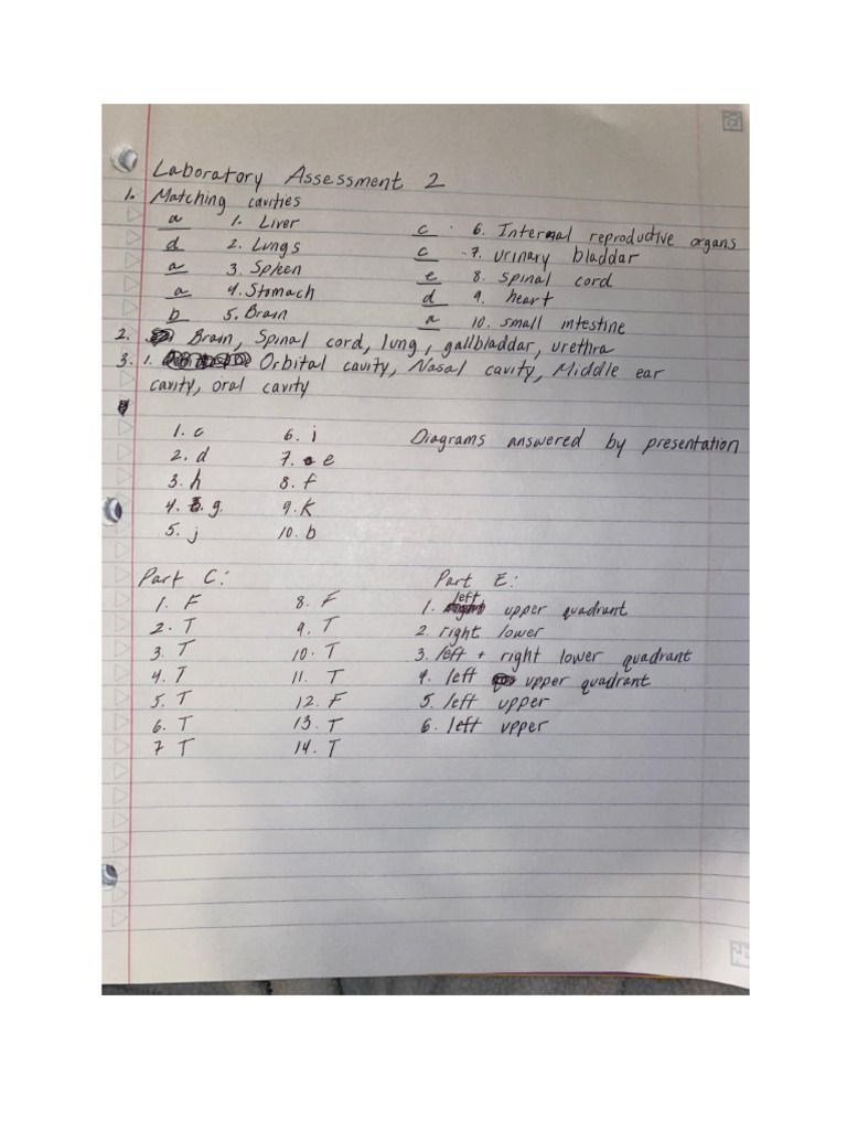 BIO 173L Lab Assignment 2 | PDF