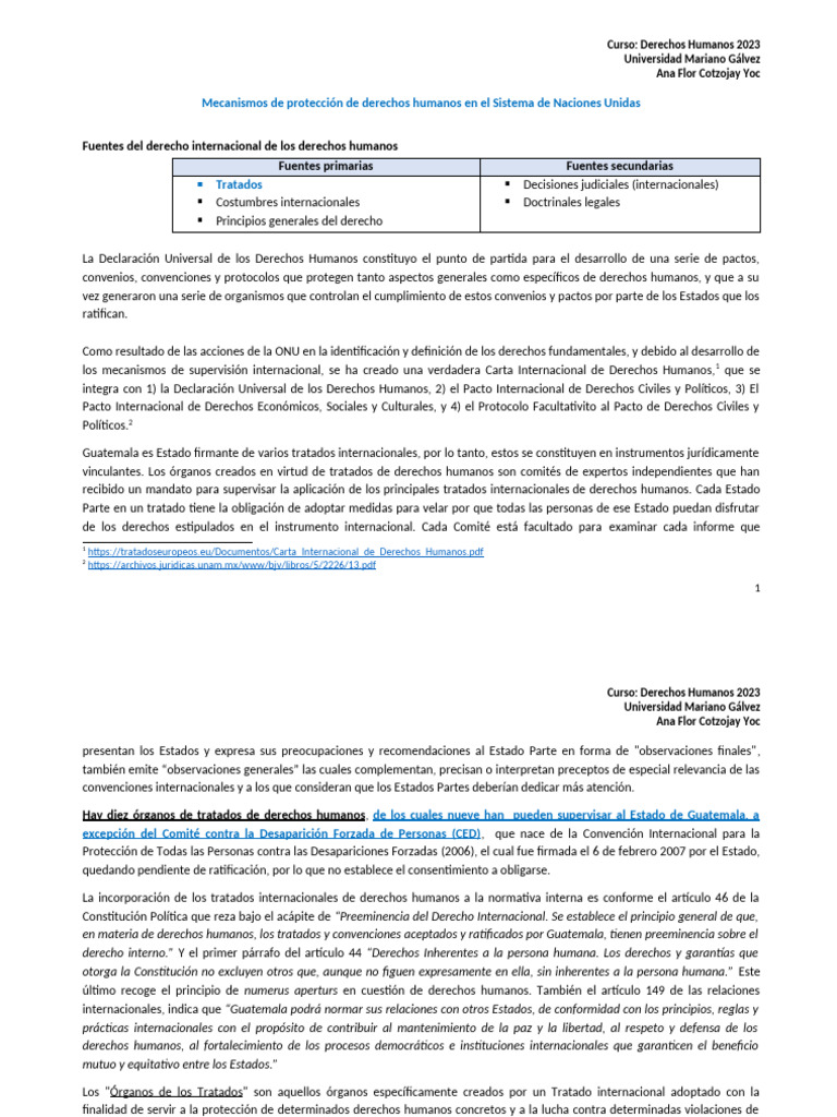Organos de Tratados DDHH | PDF | Convenio europeo de derechos humanos ...