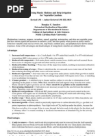 Using Plastic Mulches and Drip Irrigation, Hil-8033