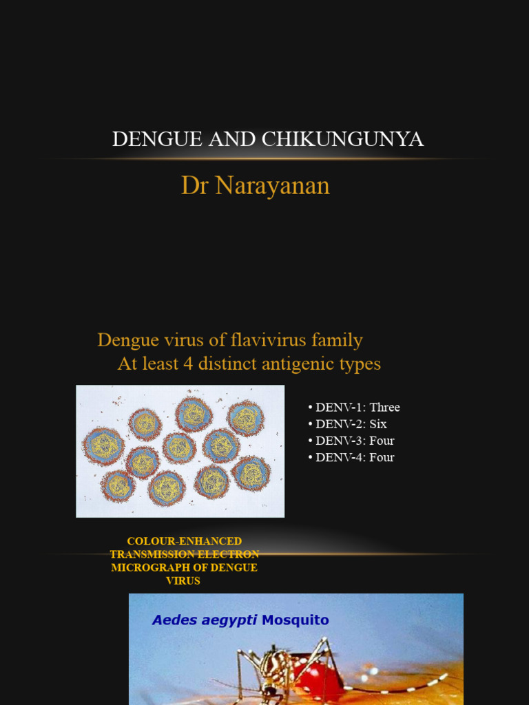 Dengue and Chikungunya Overview | PDF | Shock (Circulatory) | Medical ...
