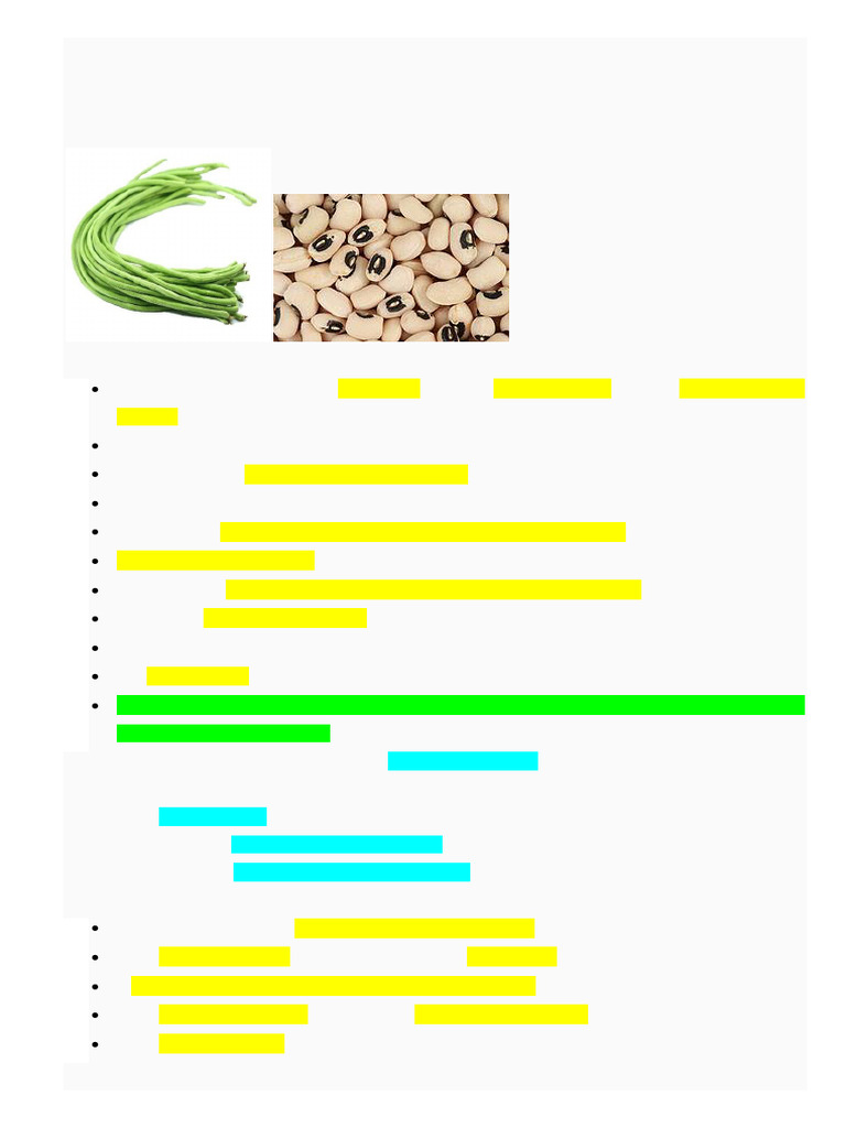 Pusa Sadabahar Cluster Bean Overview | PDF | Legume | Pea