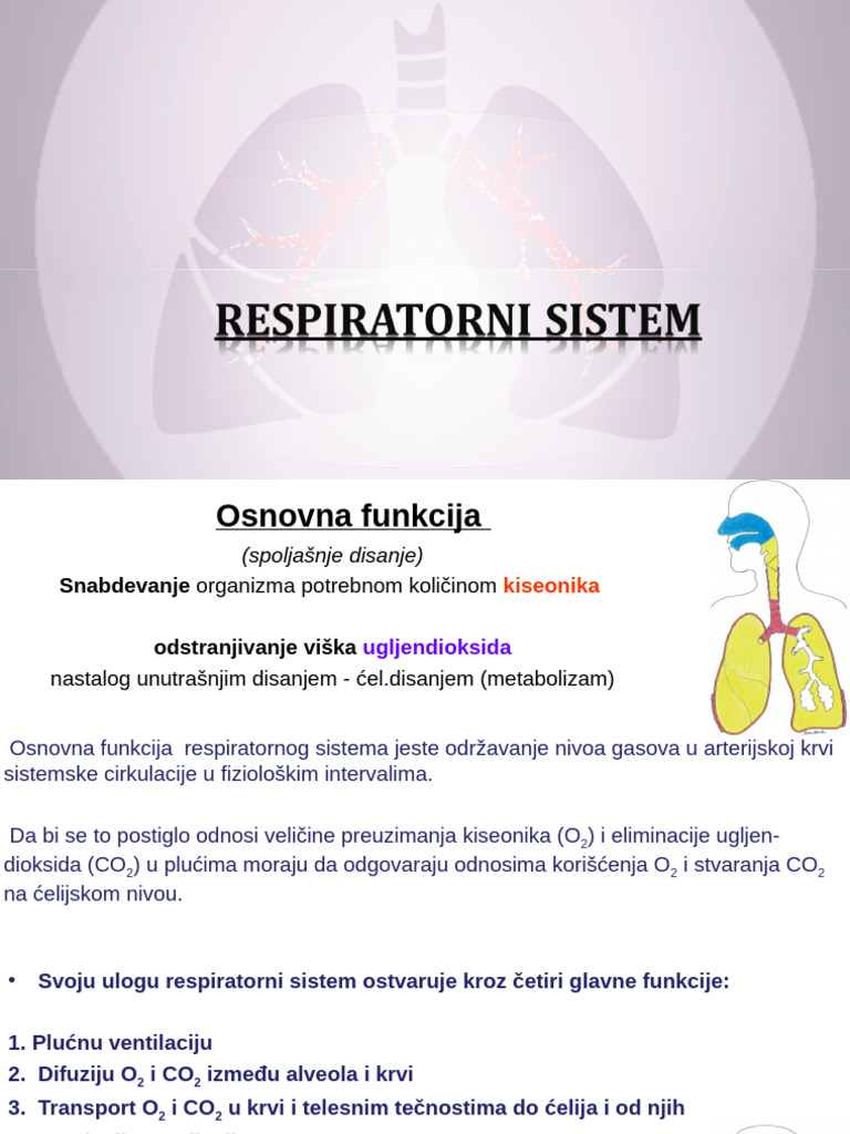 09 Respiratorni Sistem | PDF