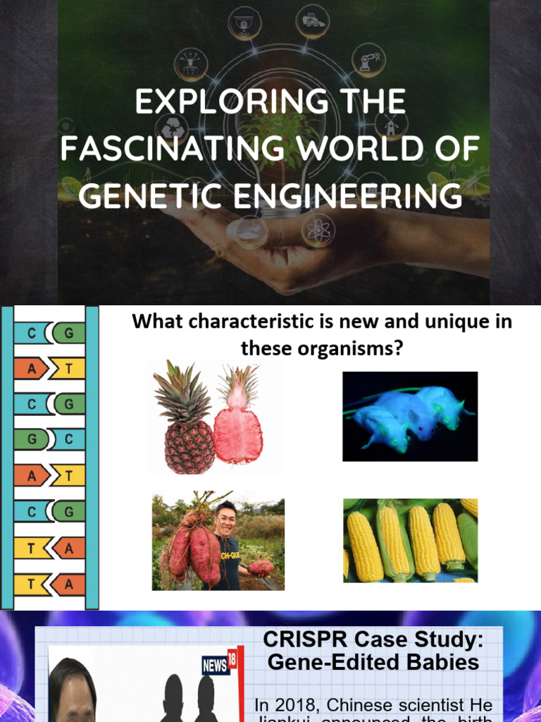 Genetic Engineering: CRISPR Insights | PDF | Polymerase Chain Reaction ...