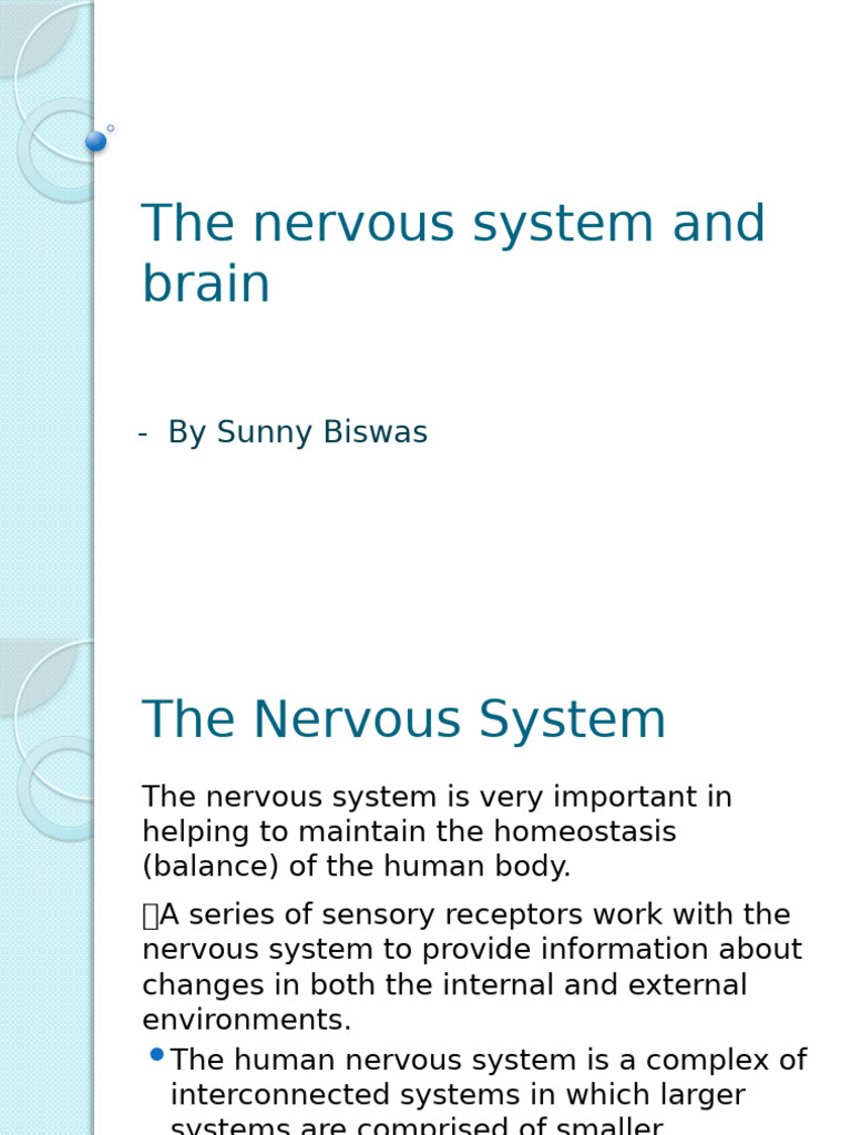 Brain Evolution and Nerve Impulse Pathways | PDF | Central Nervous ...