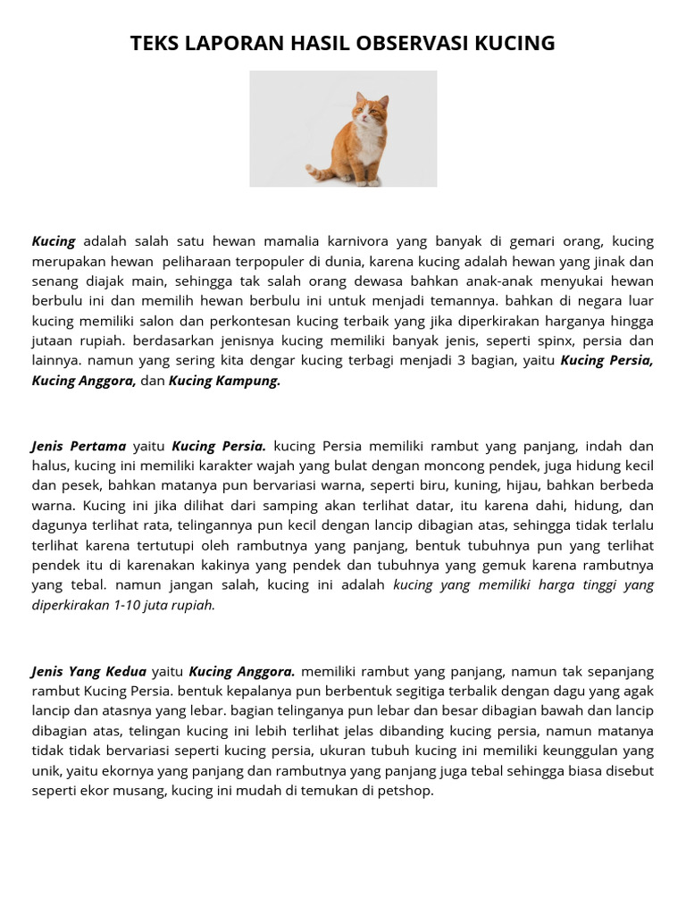 Laporan Observasi Kucing Persia dan Anggora | PDF