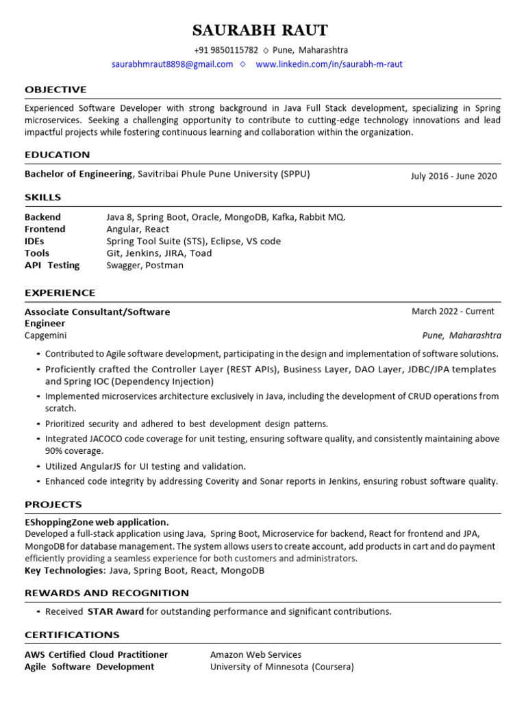 Saurabh Raut: Software Developer Profile | PDF | Software Development ...