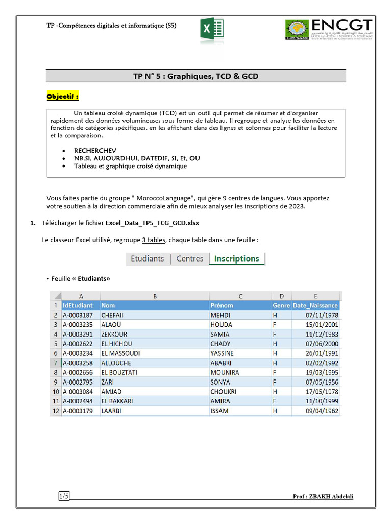TCD et Graphiques dans Excel pour 2023 | PDF | Microsoft Excel ...