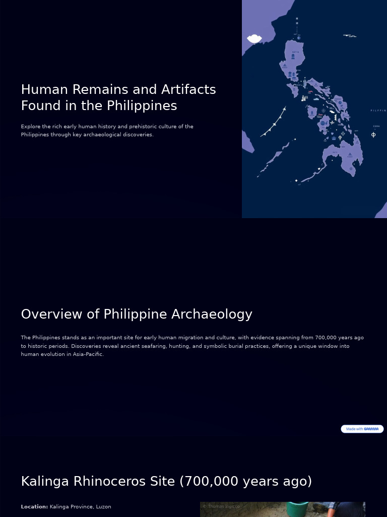 Human RemainsandArtifacts | PDF | Stone Age | Archaeology
