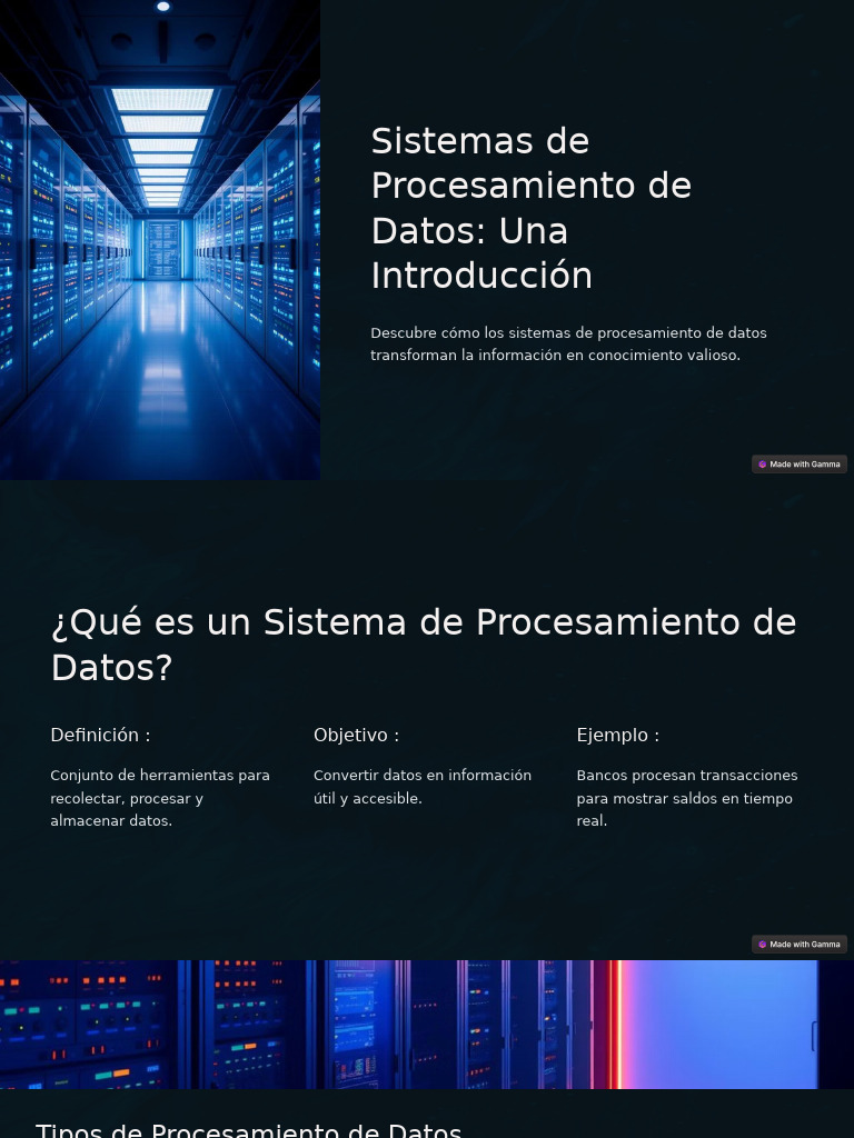 Sistemas de Procesamiento de Datos Una Introduccion | PDF