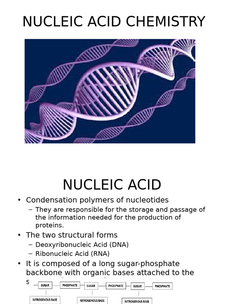 Nucleic Acid Chemistry | PDF | Rna | Nucleotides