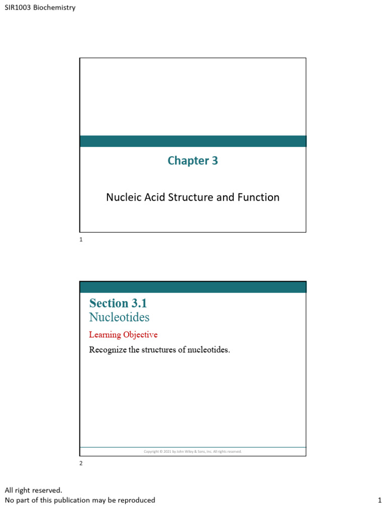 Ch03 Nucleic Acid Structure N Function | PDF | Nucleotides | Organic ...