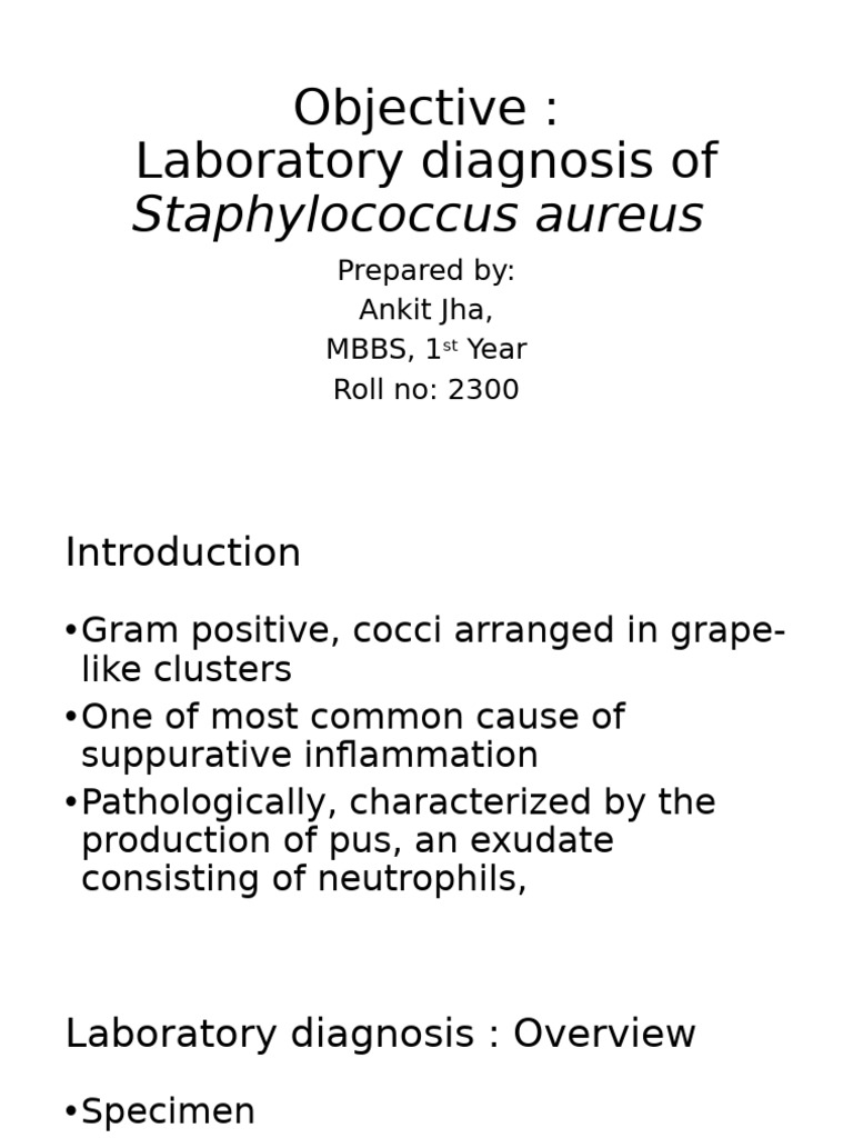 Staph Aureus Diagnosis | PDF | Staphylococcus Aureus | Staphylococcus