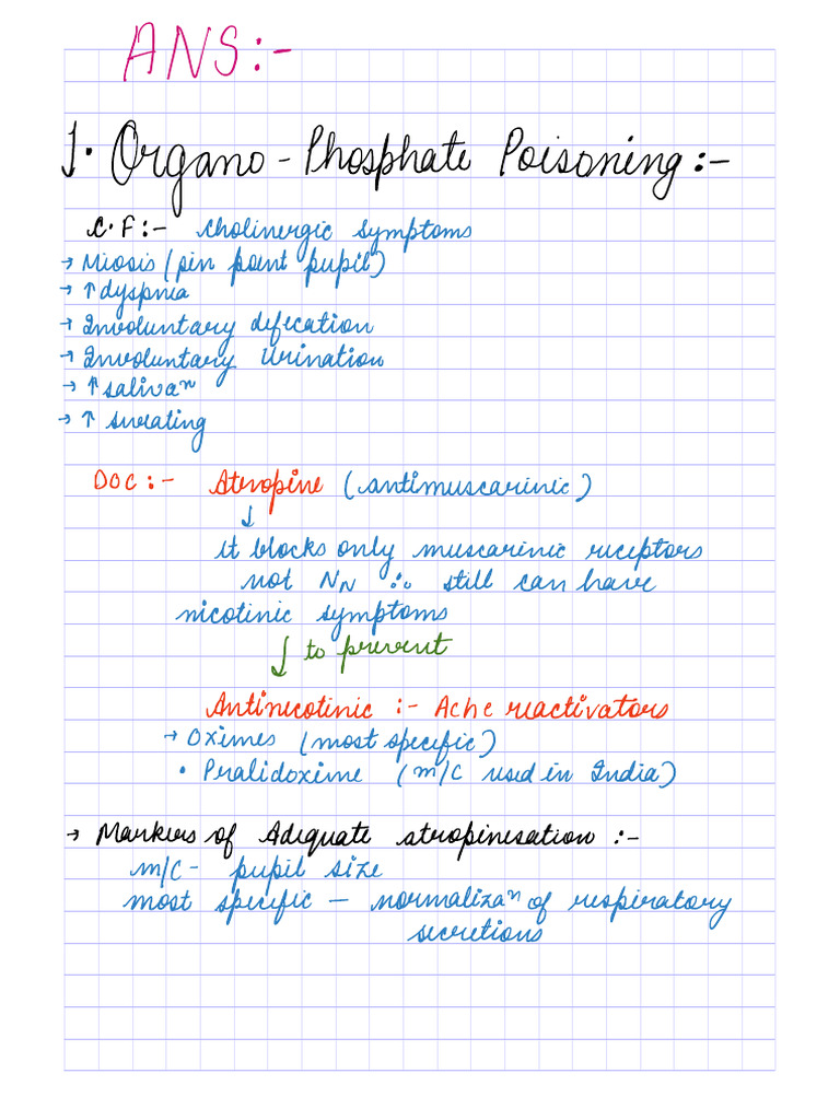Ans | PDF