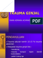 Trauma Ginjale