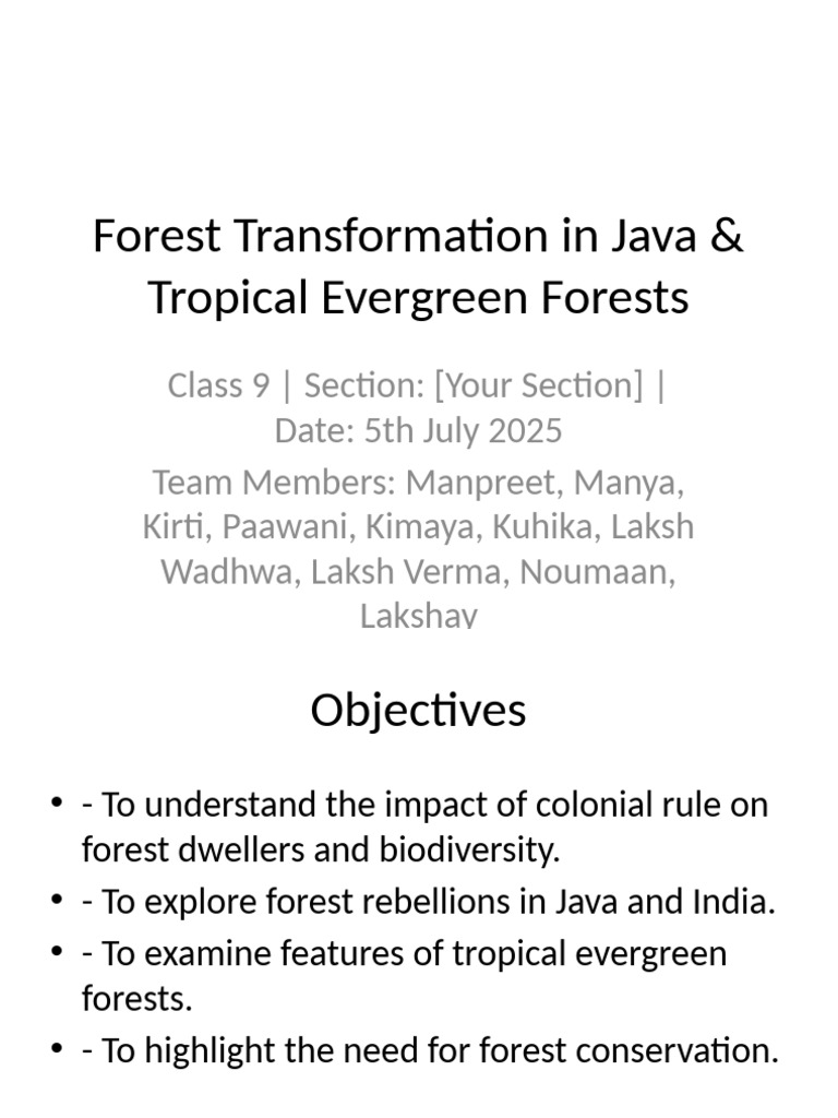 Forest Transformation in Java Analysis | PDF | Forests | Biodiversity