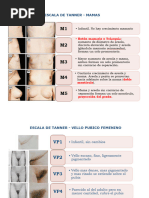 Pubertad y desarrollo en niños y niñas | PDF | Pubertad | Órgano (anatomía)