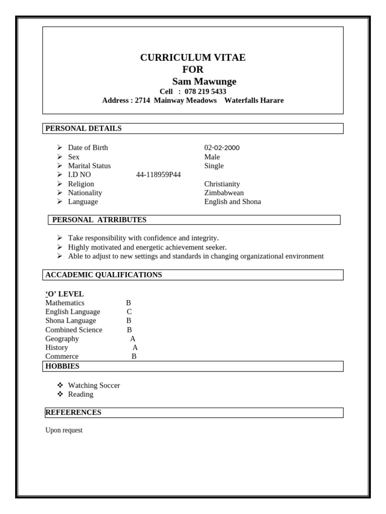 CV For Sam | PDF